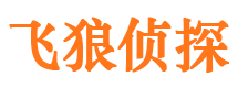 岳塘婚外情调查取证